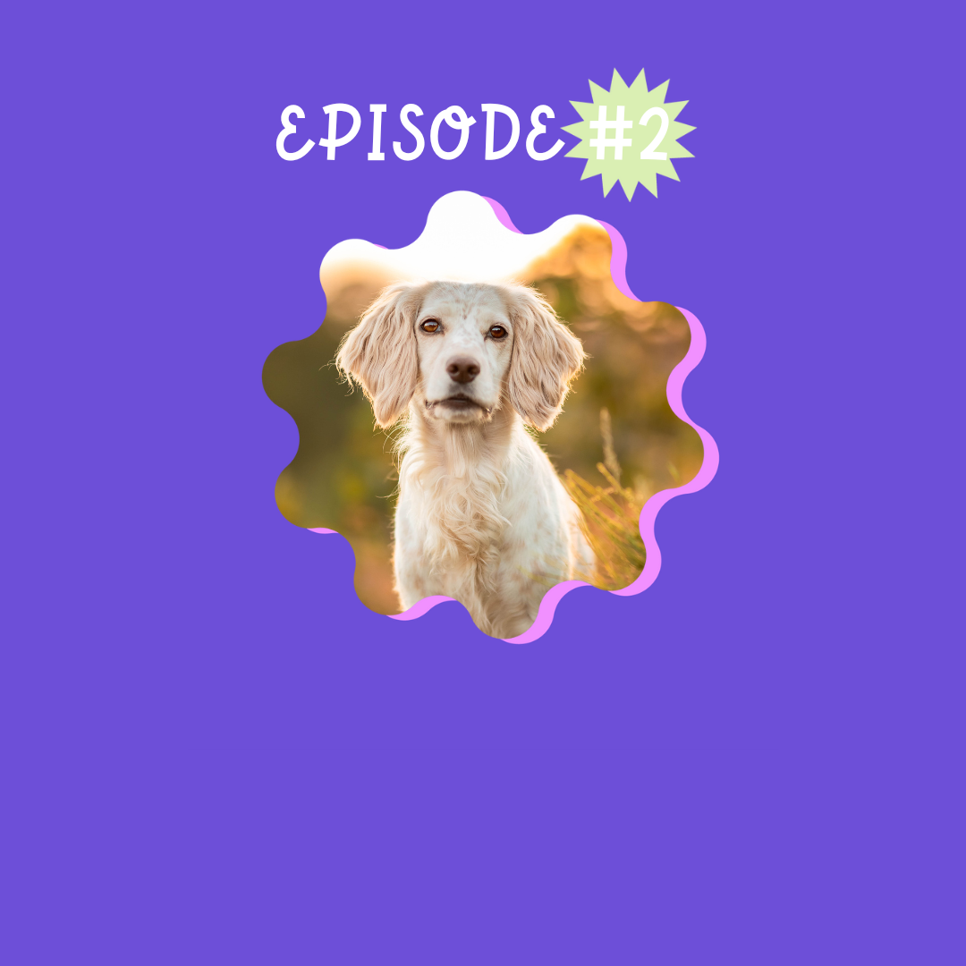 Ep2 Chiennes et invisibilation