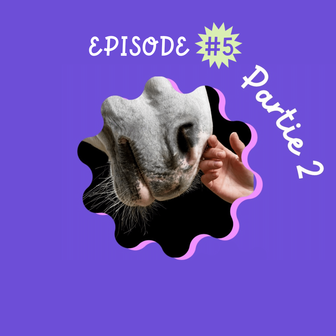 Episode 2 consentement