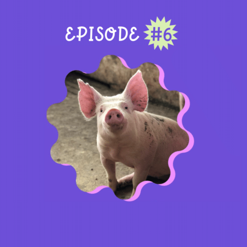 Société, Culture et Cochon épisode de podcast Madame a du chien, féministe et engagé