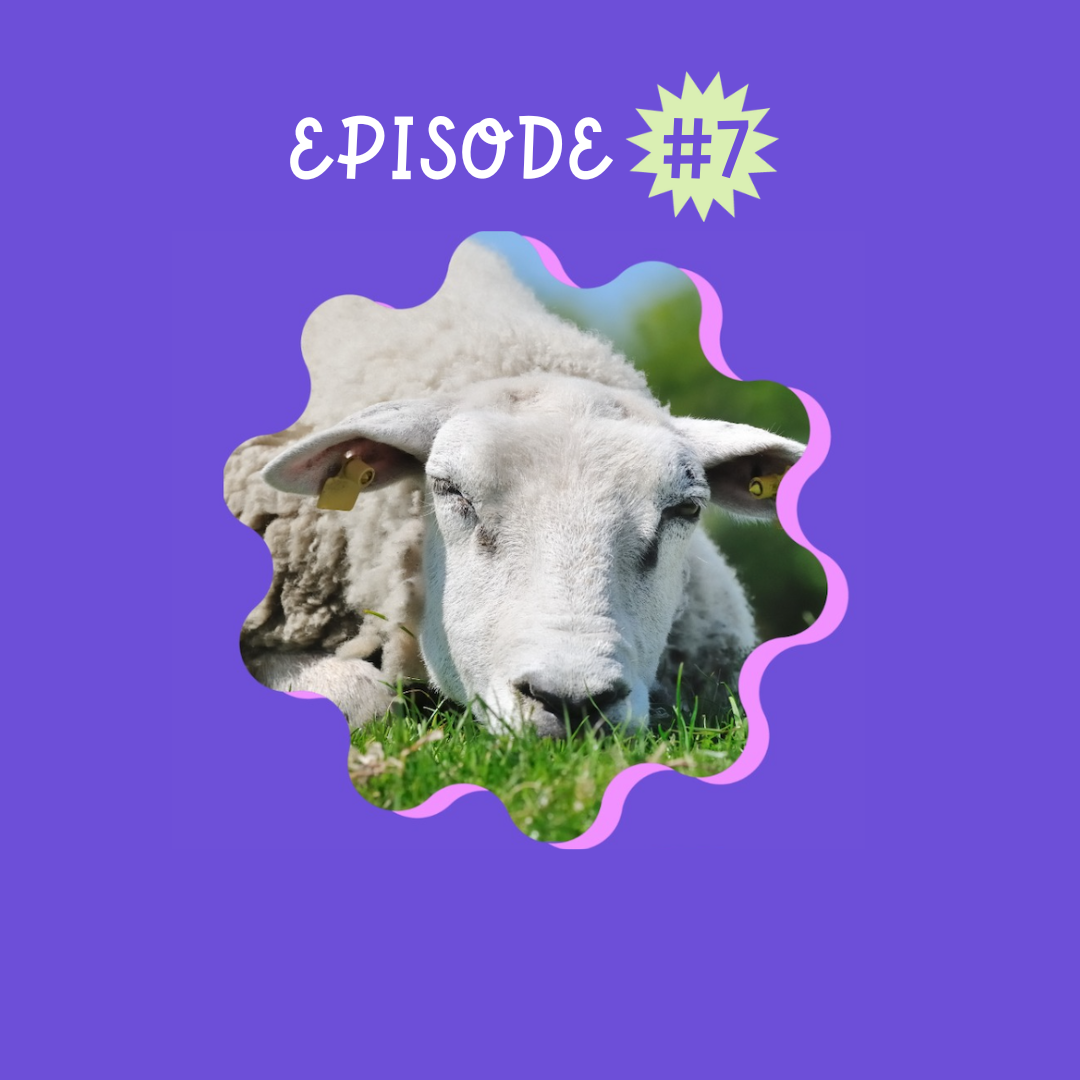 Emotions et déconstruction, épisode 7 podcast madame a du chien