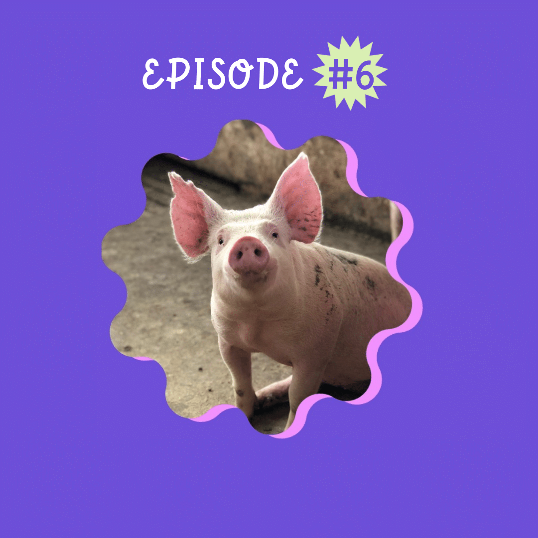 Société, Culture et Cochon épisode de podcast Madame a du chien, féministe et engagé