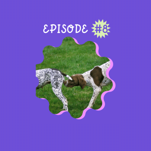 episode de podcast feministe sur les animaux
