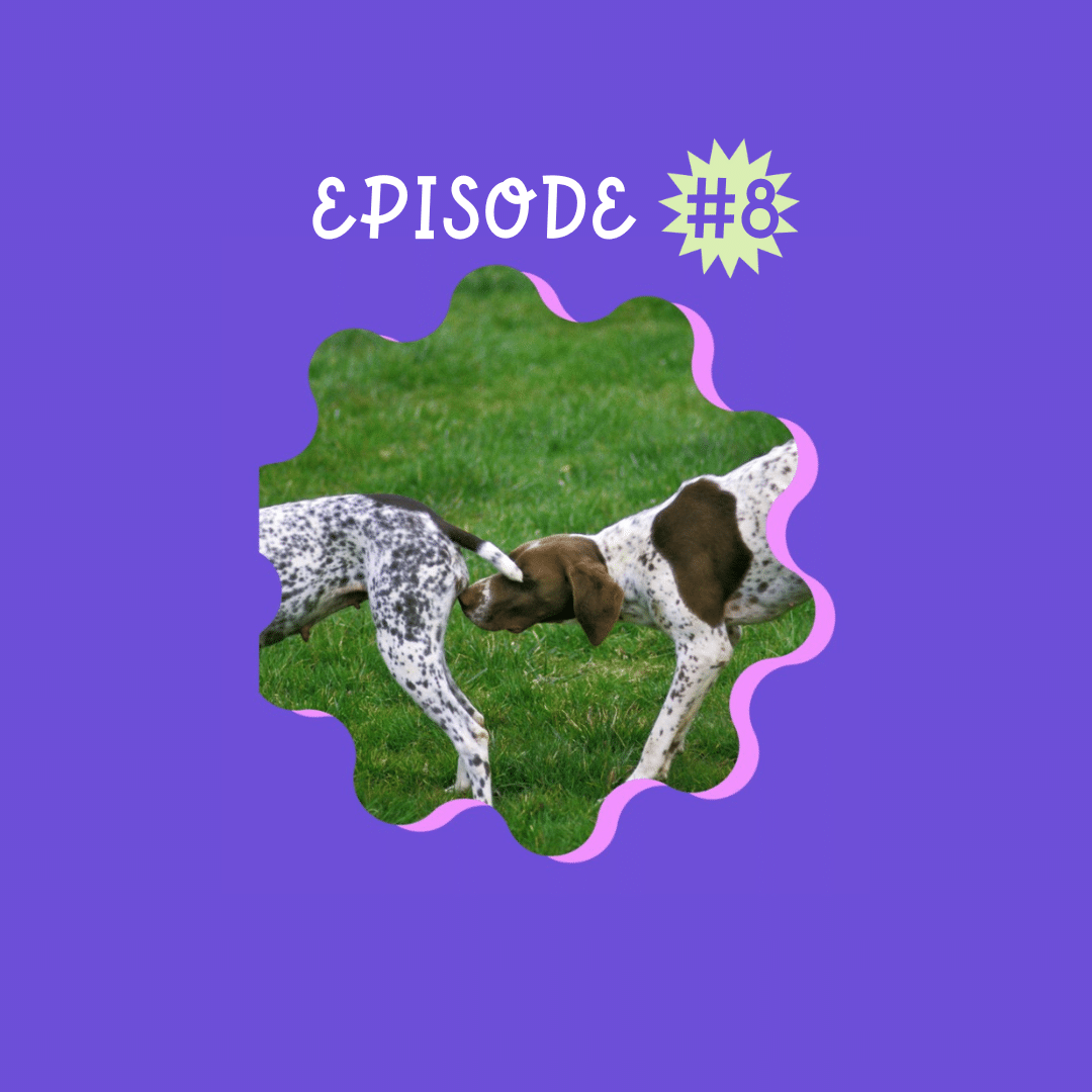 episode de podcast feministe sur les animaux