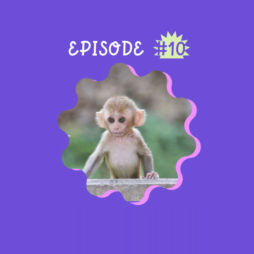 Episode 10 Madame a du chien